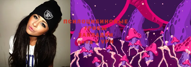 Галлюциногенные грибы Magic Shrooms Барнаул